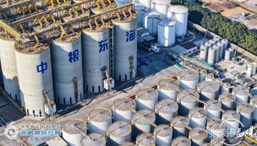 中糧東海糧油15萬噸筒倉項(xiàng)目竣工投用，開啟糧油倉儲新篇章